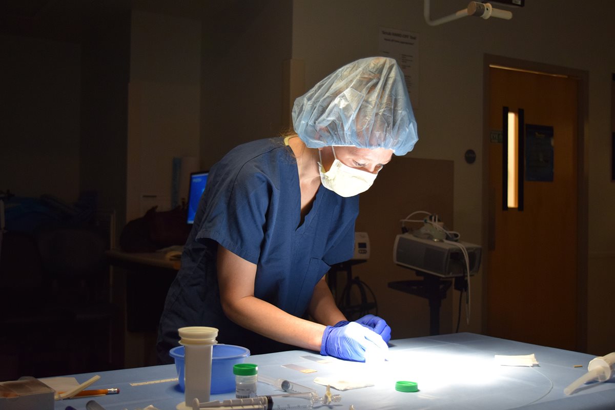 Pathology & Laboratory Medicine University of Rochester Medical Center