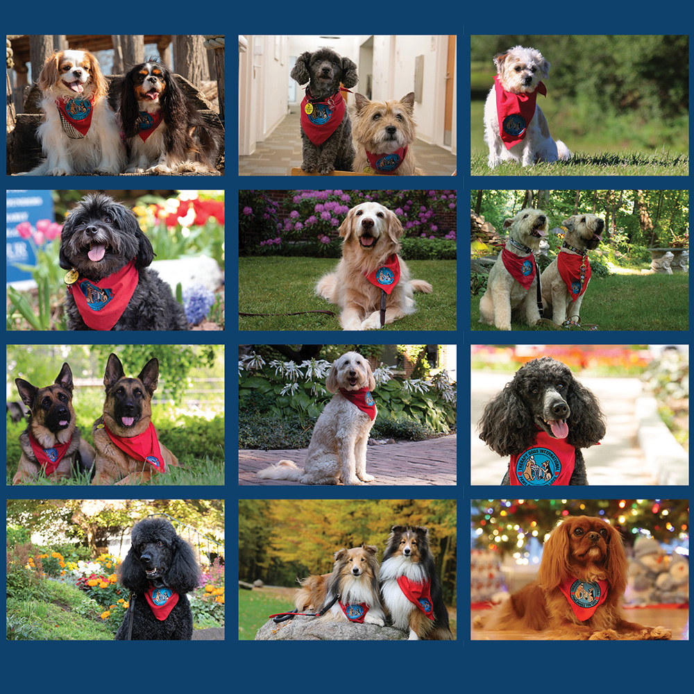 An Adorable Addition to Your Home or Office – 2024 Pet Therapy Calendar Now Available