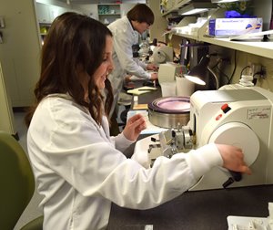 Not Just Cut and Dry: A Day in the Life of a Histologist