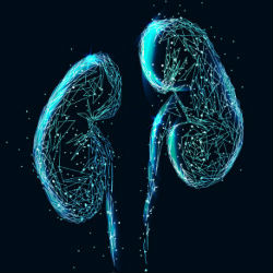 UR CTSI-Supported Study Aims to Predict, Prevent Acute Kidney Injury