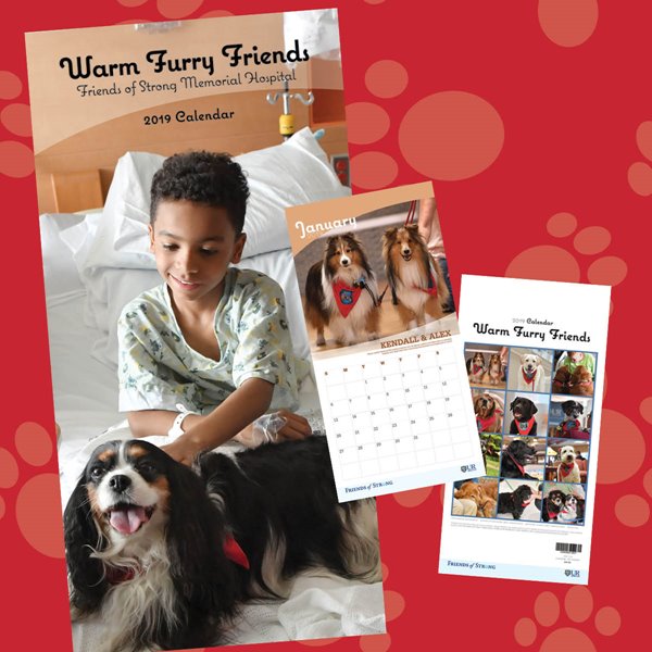 ‘Warm Furry Friends’ Brings Comfort to the Home and Worksplace