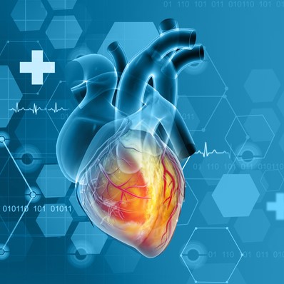 Could a Cancer Protein Be at the Heart of Cardiac Scarring and Disease?