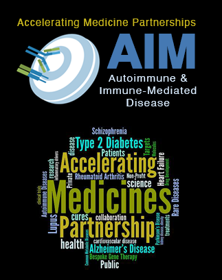 Accelerating Medicines Partnership® Autoimmune & Immune-Mediated Disease Program