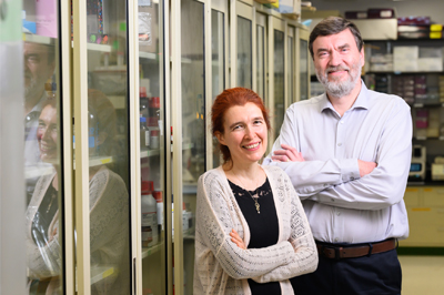 Photo of longevity researchers Vera Gorbunova, PhD and Andrei Seluanov, PhD in a lab setting.