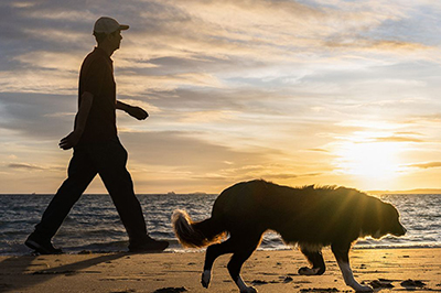 What to Expect After Joint Replacement Surgery