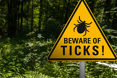 Lyme Disease: Prevention and Symptoms