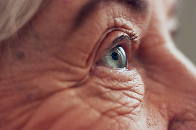 New NIH-Funded Project Targets Early Drivers of Vision Loss in Macular Degeneration