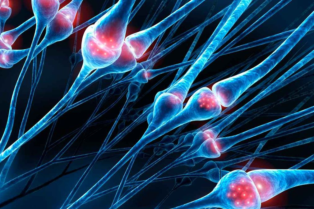 Image of closeup of nerves in blue and red