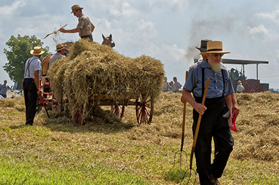 Farm-Living Families Develop Earlier Immune Maturation Against Food Allergies