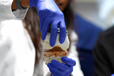 University of Rochester to Establish Eastman School of Dentistry, Its First New School in More Than 50 Years