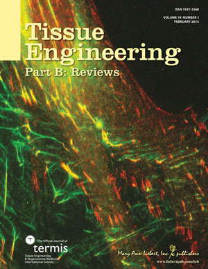 Cover Art for Tissue Engineering, Part B
