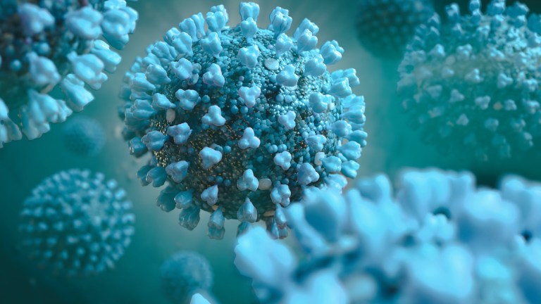 Stock image of a virus under high magnification