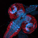 Drosophila as a Cancer Model