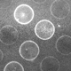 Microbubble Arrays for Single Cell Sorting and Antigen Specific Detection