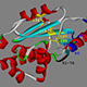 Functional Analysis of Influenza Virus PA-X and NS1 in Host Shutoff