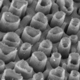 image of nanotubes