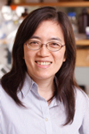 Yi-Fen Lee, Ph.D.