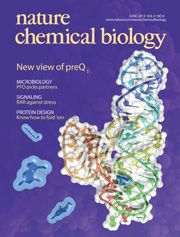 Crystal structure of the preQ1-II riboswitch