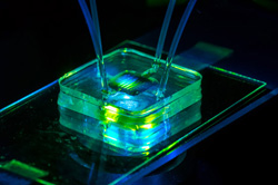 image of A microfluidic bioreactor
