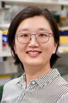 Ning Wang, PhD