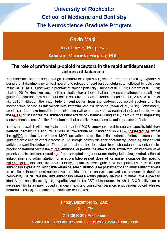 Magill Proposal announcement flyer