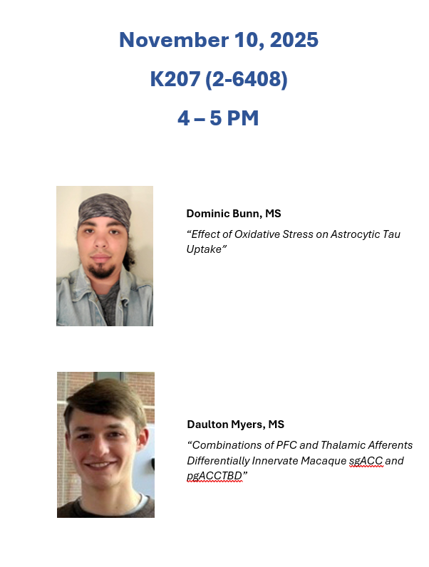 Seminar for Nov 10 2025 flyer