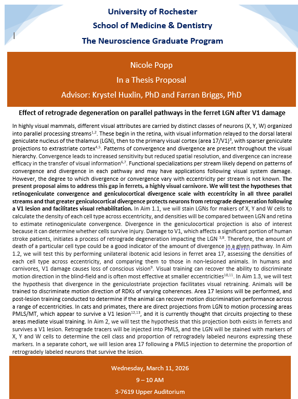 Flyer for Nicole Popp's thesis proposal