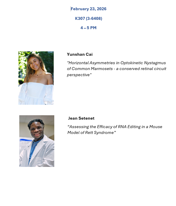 Flyer for the talk