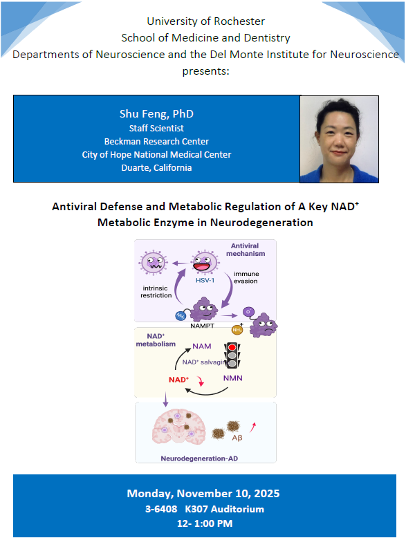 DMIN seminar Shu Feng