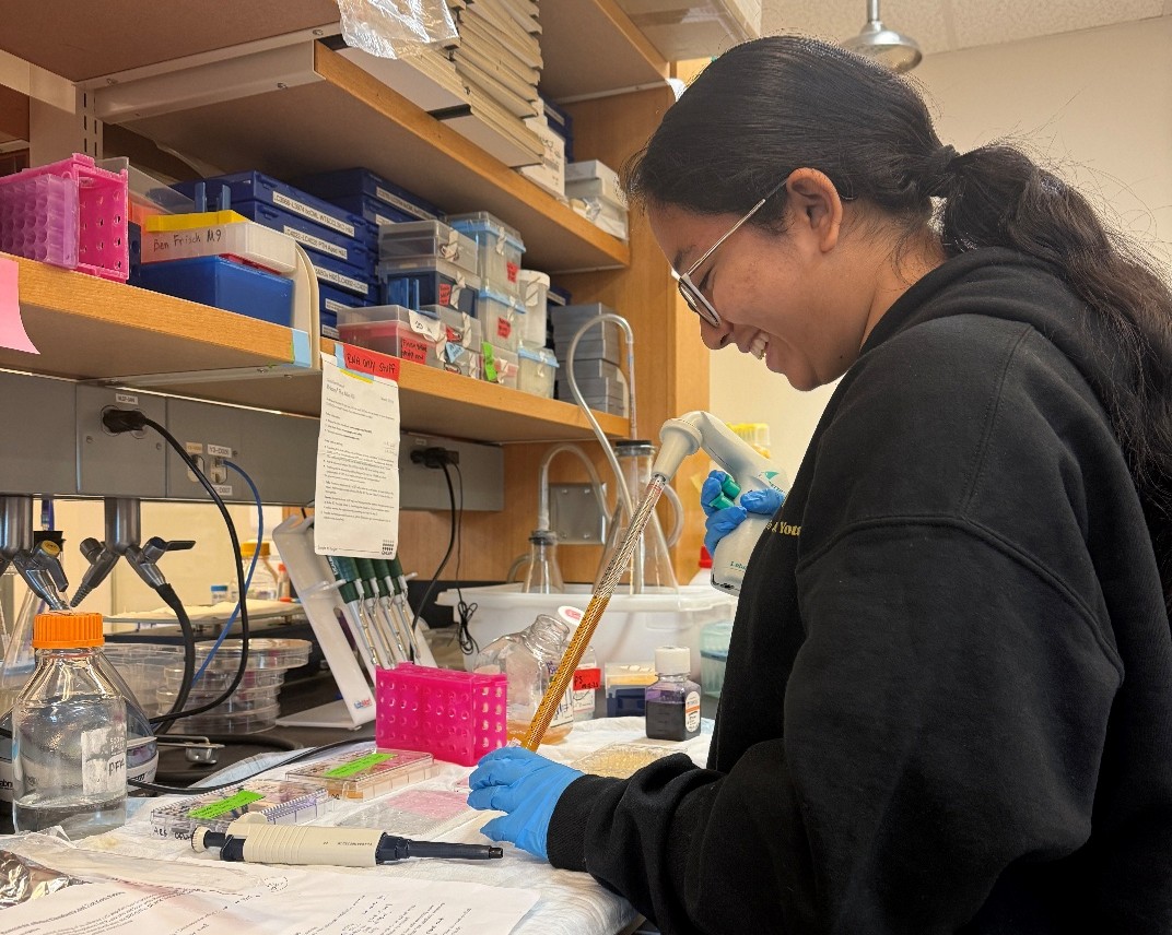Mahirah working in the lab laughing