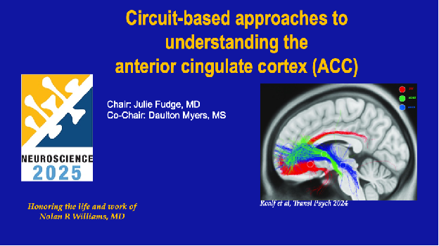 Title slide from the presentation