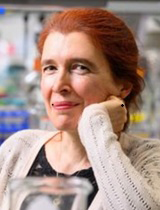 Vera Gorbunova