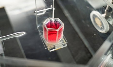 Blood in a container